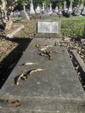 image of grave number 499619
